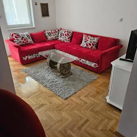 Sumadijska Novi Sad